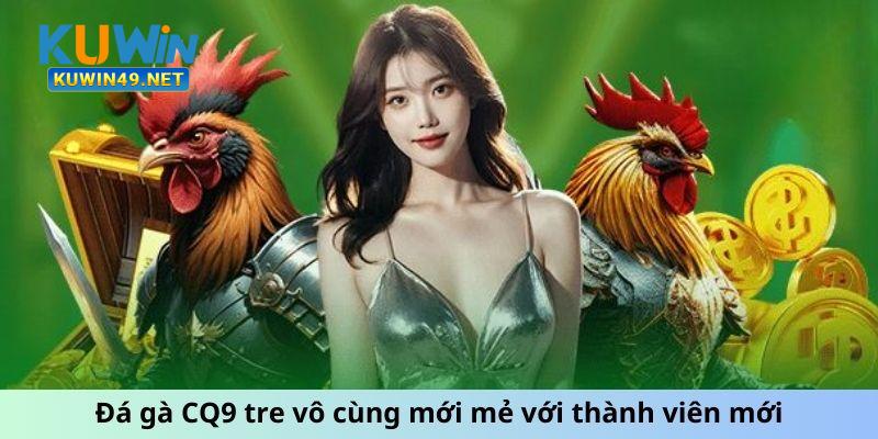 Đá gà CQ9 tre vô cùng mới mẻ với thành viên mới